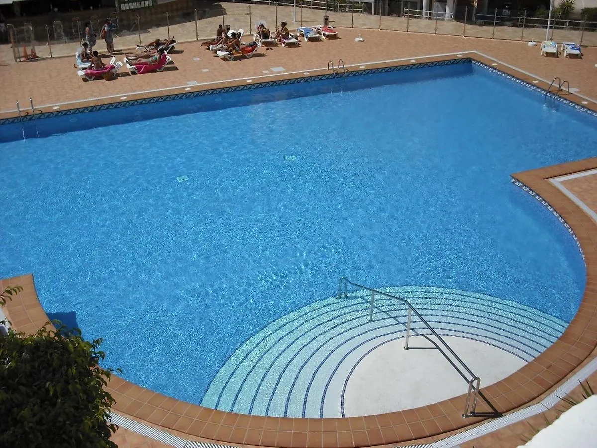 Zebra 3 Piscines Apartment Costa Adeje   Costa Adeje (Tenerife)